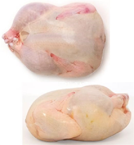 14"x23" Turkey Shrink Bags Poultry Freezer